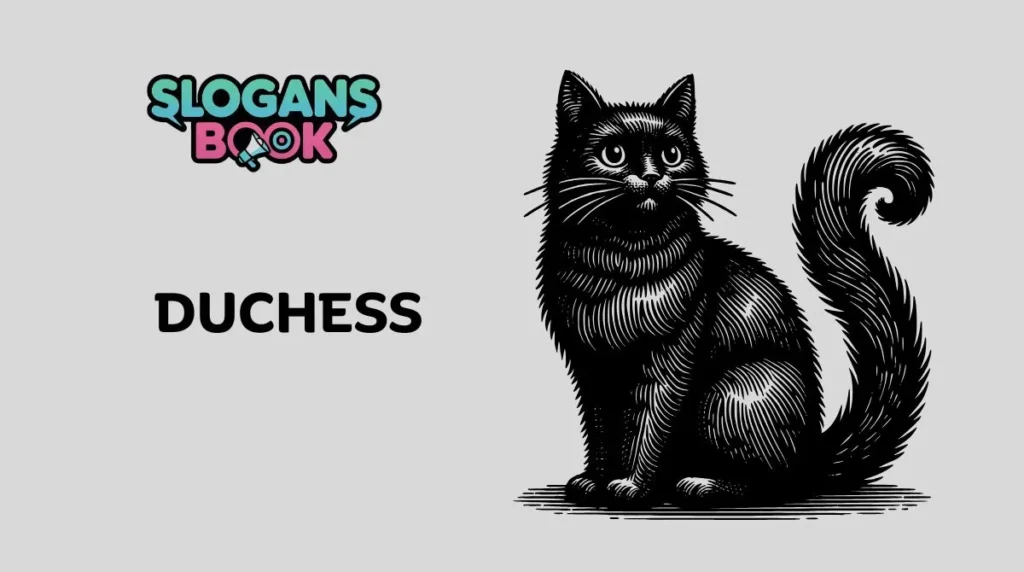 Elegant & Regal Black Cat Names