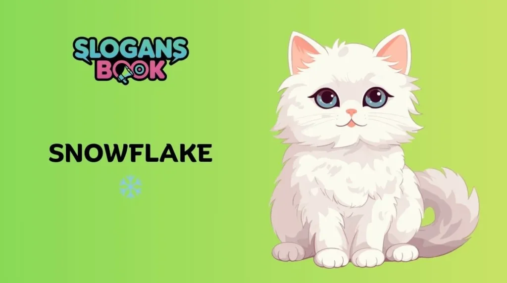 Elegant Names for White Cats