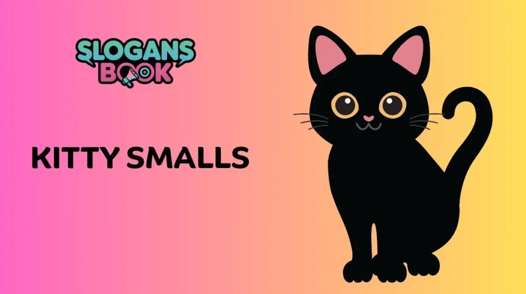 Funny & Quirky Black Cat Names