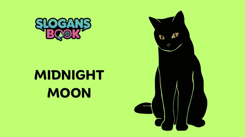 Midnight Moon