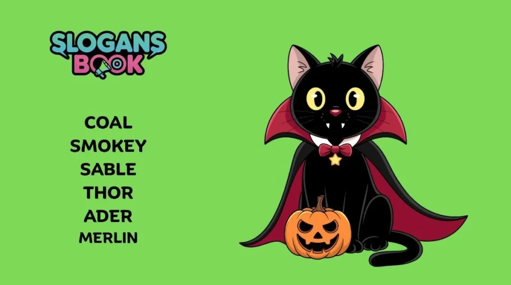 Names for Black Cats (Male)