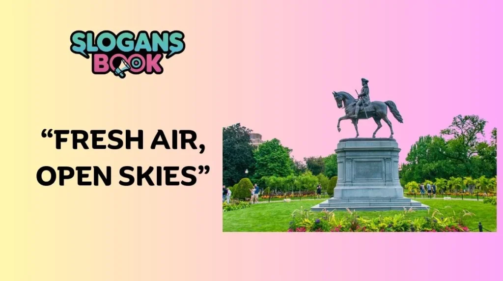 Nature & Outdoor Slogans for Massachusetts