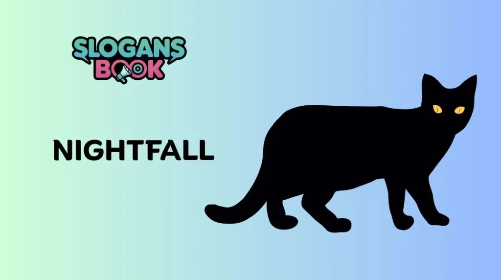 Nature-Inspired Black Cat Names