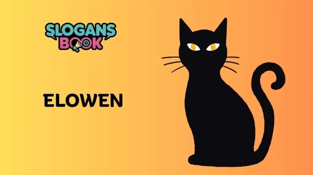 Unique & Rare Black Cat Names
