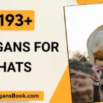 Slogans for Hats