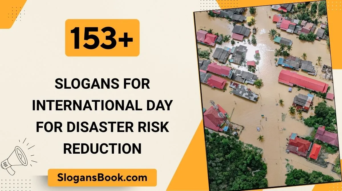 Slogans for International Day for Disaster Risk Reduction