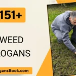 Weed Slogans